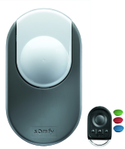 DEXXO PRO 800 IO MOTOR HEAD (2 KEYGO IO) - 1216326 - 1 - Somfy